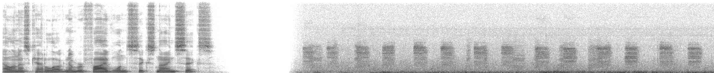 Sarı Ayaklı Fırtınakırlangıcı (oceanicus/exasperatus) - ML51696