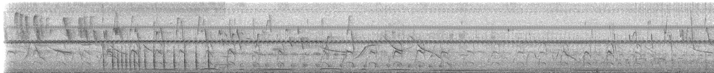 White-fronted Woodpecker - ML516960