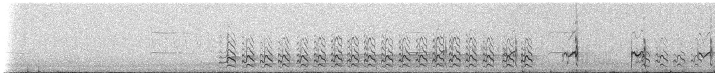 Pfuhlschnepfe (baueri-Gruppe) - ML516965