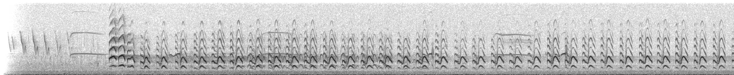 Pfuhlschnepfe (baueri-Gruppe) - ML516967