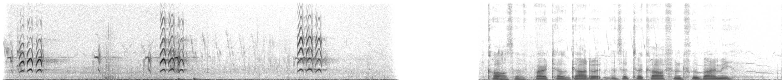 Kuliska gorria (siberiarra) - ML516968
