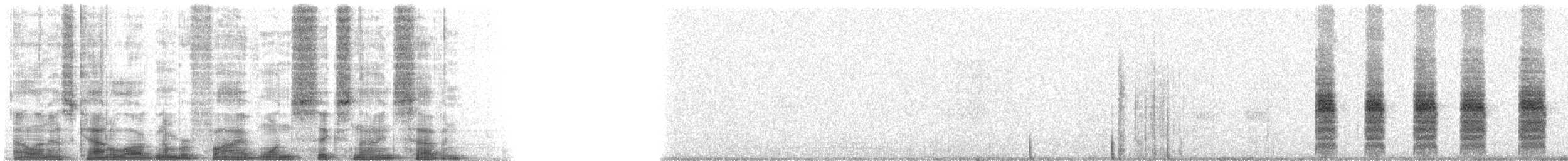 oseanstormsvale (oceanicus/exasperatus) - ML51697