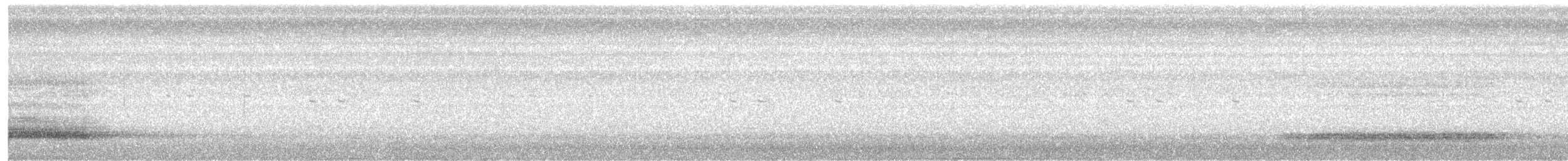 Австралийская сипуха - ML516975281
