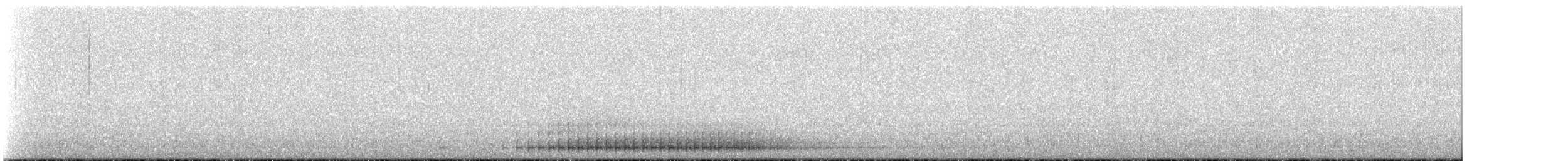 Schwarzrückenspecht - ML517035641