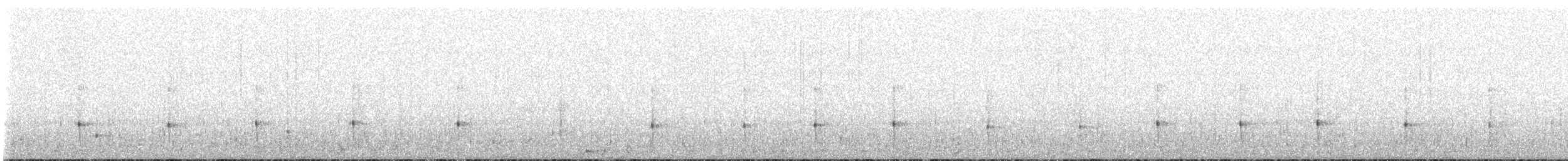 Schwarzrückenspecht - ML517037991
