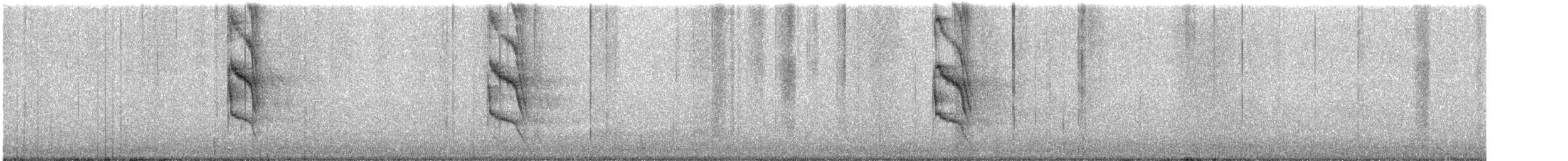 Social Flycatcher - ML517040311