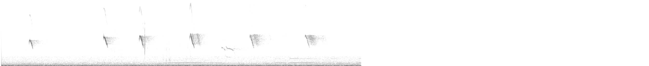 svartfibi (nigricans gr.) - ML517102651