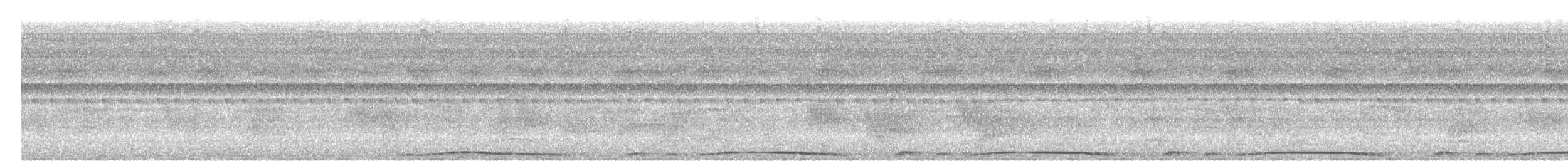 holub neotropický - ML517195571