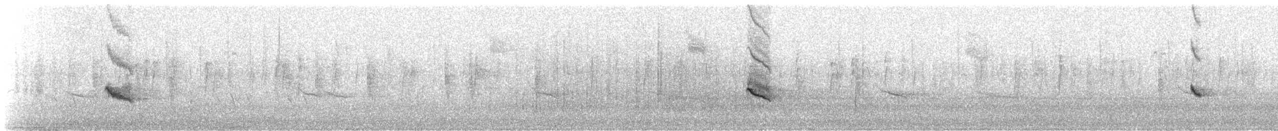 Дрізд-короткодзьоб плямистоволий - ML517197861