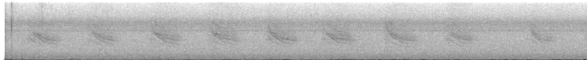 Tawny-faced Gnatwren - ML517248411