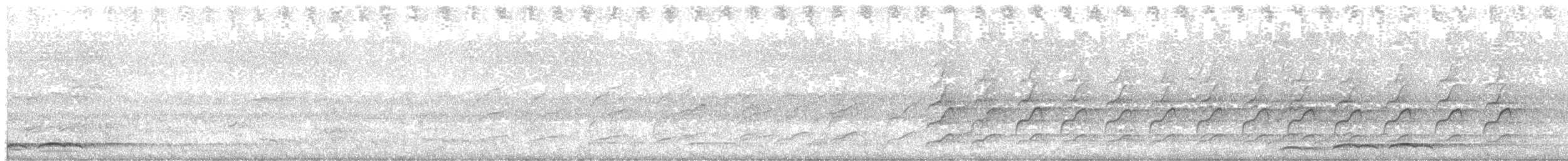 Тихоокеанский коэль - ML517248781