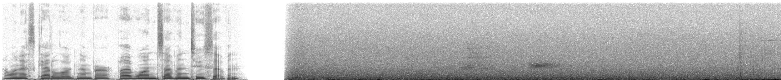 Kara Orak Kanatlı Guan - ML51727