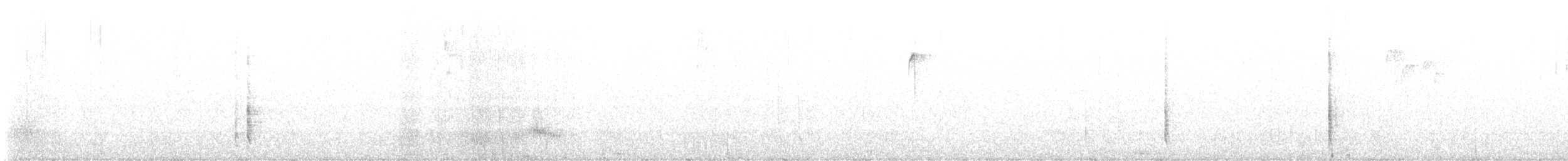 Brewer's Blackbird - ML517302561