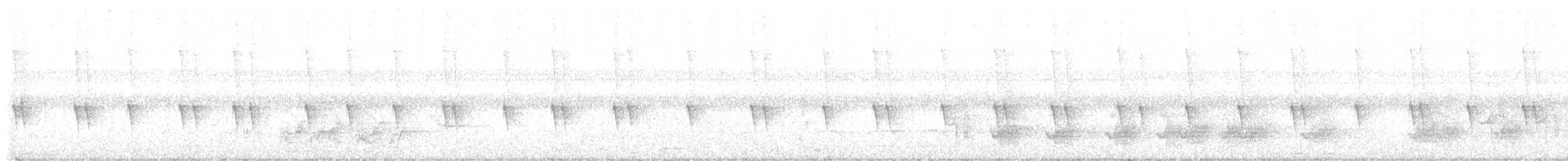 Wedge-tailed Sabrewing - ML517305331