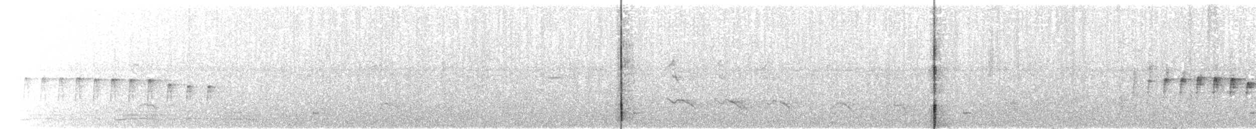 Weißkehl-Tachurityrann - ML517308691