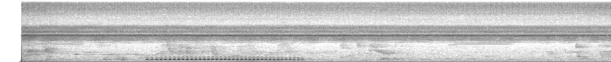 Nacktfuß-Kreischeule - ML517320311