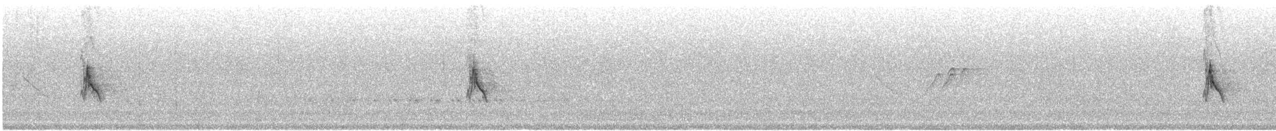 Белокрылая канделита - ML517344981