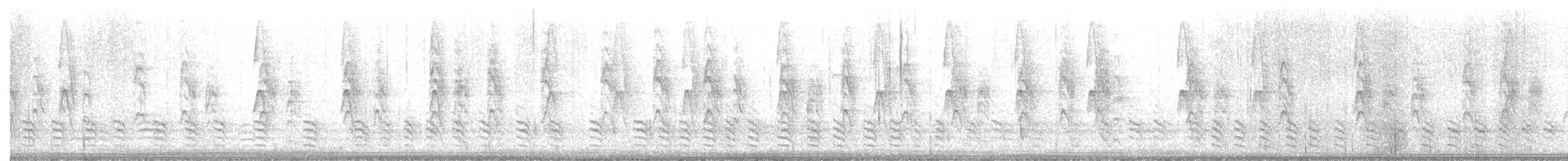 Trepador Pechiblanco (carolinensis) - ML517365521