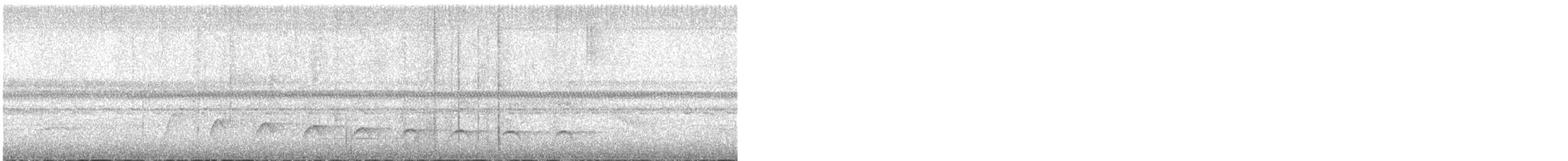 White-streaked Antvireo - ML517404491