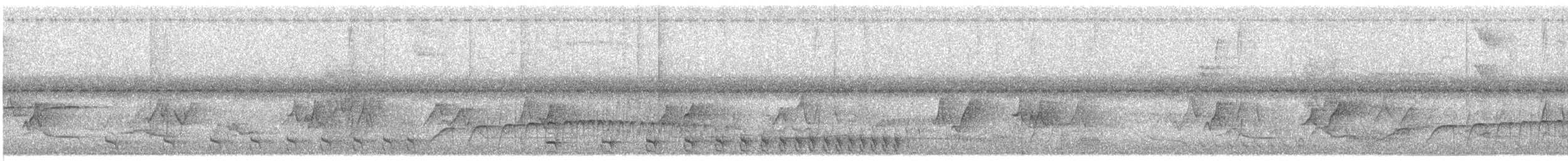 Natterer's Slaty-Antshrike - ML517460411