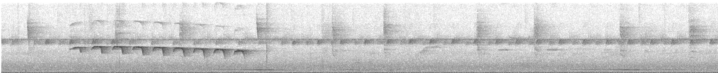 Black-faced Antbird - ML517460451