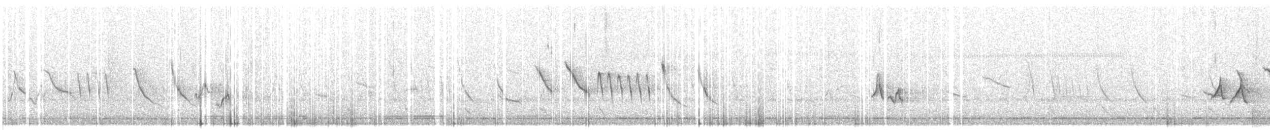 Morgenammer - ML517464711