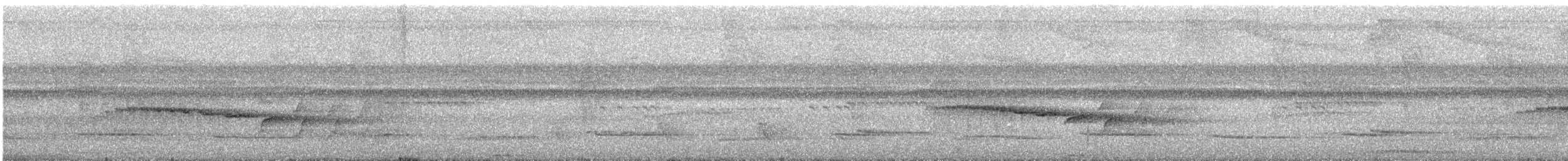 Black-tailed Leaftosser - ML517473121