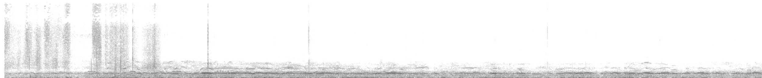 labuť malá (ssp. columbianus) - ML517504271