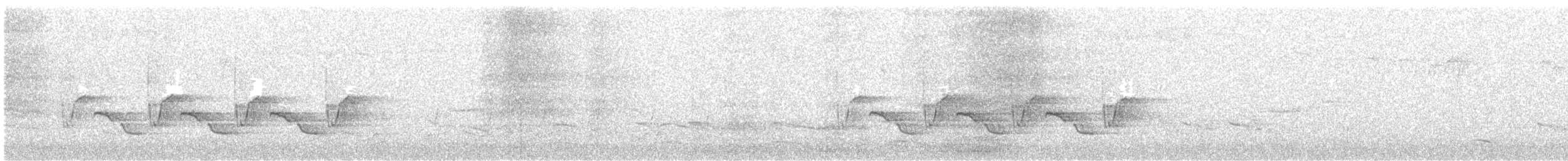 Carolina Wren - ML51757841