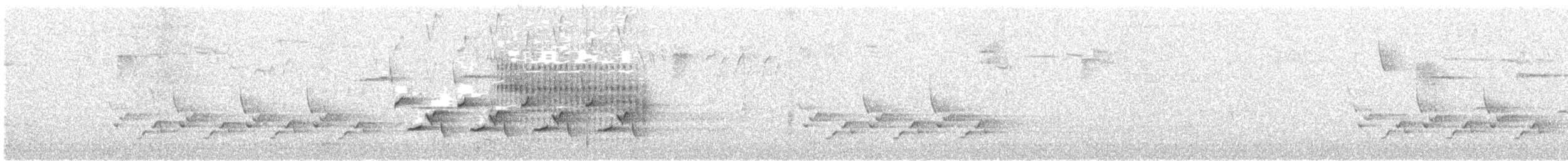 Carolina Wren - ML51757851