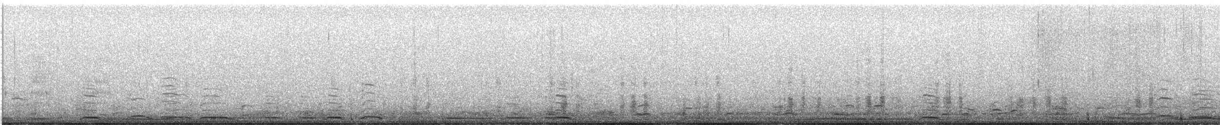 Cygne siffleur - ML517619971