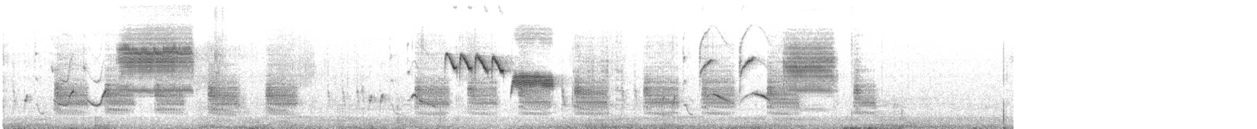 Troglodyte de Latham (aequatorialis) - ML517628811