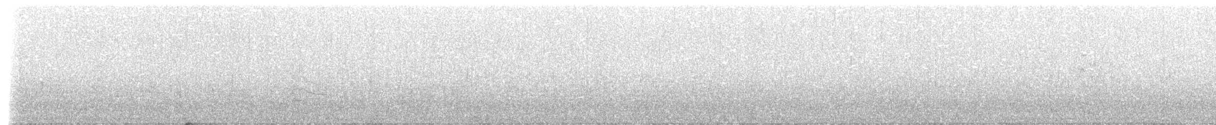 Дятел-смоктун білочеревий - ML517662011