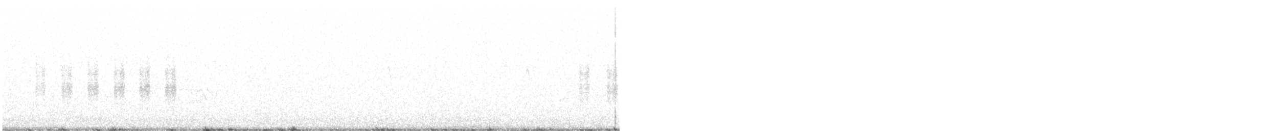Black-tailed Gnatcatcher - ML517670971