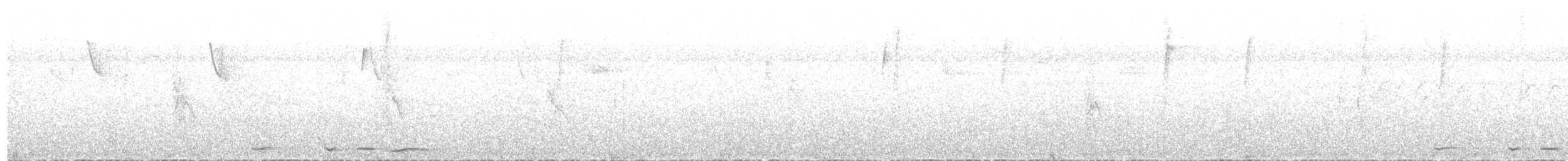 Kısa Gagalı Kızılca Güvercin - ML51768751