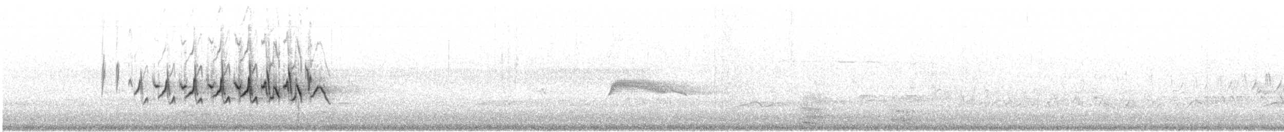 lesňáček žlutoskvrnný (ssp. auduboni) - ML517694811