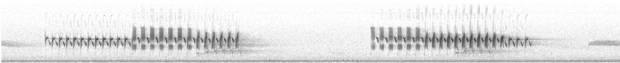 Юнко сірий (підвид aikeni) - ML517696821
