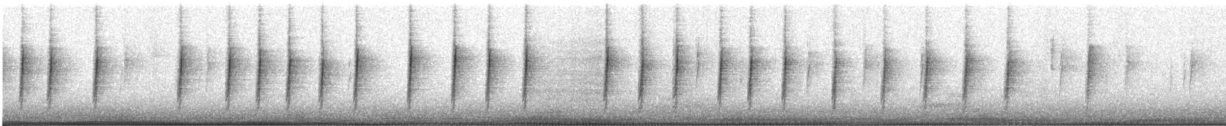 Troglodyte de Bewick - ML517712261