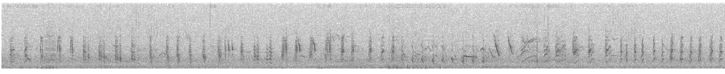 Rousserolle effarvatte (groupe baeticatus) - ML517740761