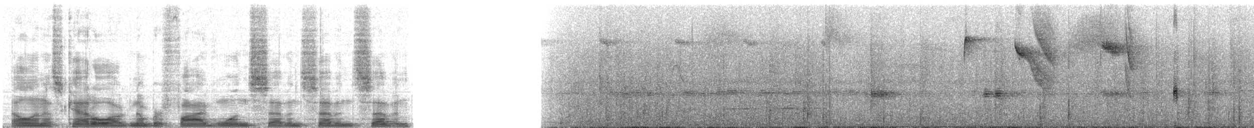 Brown Inca - ML51777