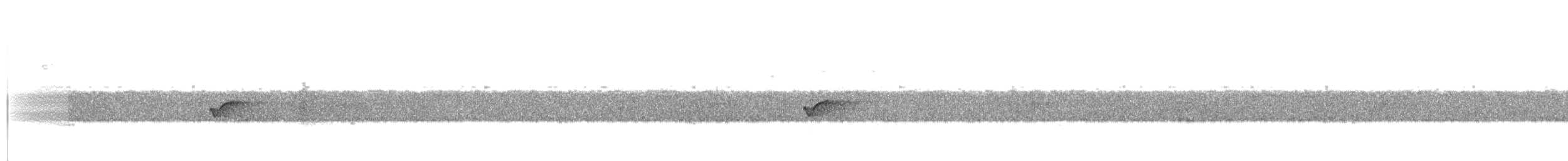 Painted Manakin - ML517783221