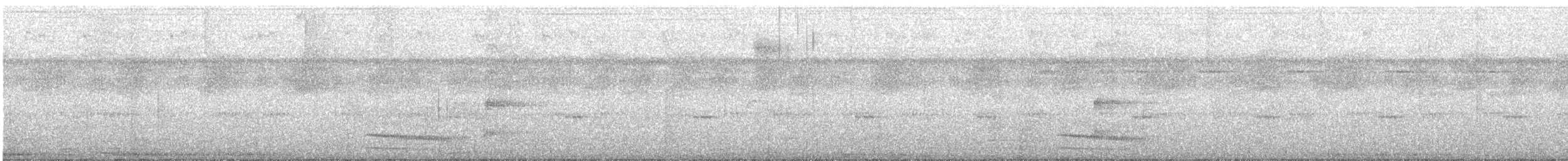 Plain-winged Antshrike - ML517784381