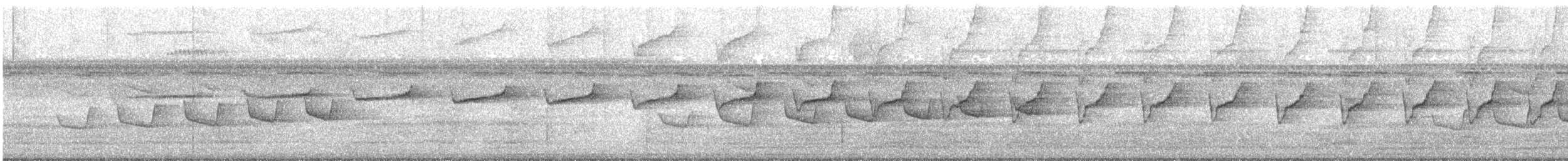 Plain-throated Antwren - ML517784481