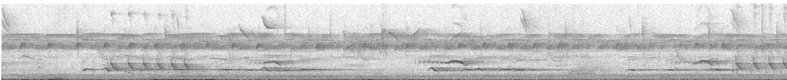 Spot-winged Antshrike - ML517784491