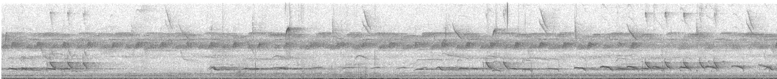 Blackish Antbird - ML517784521