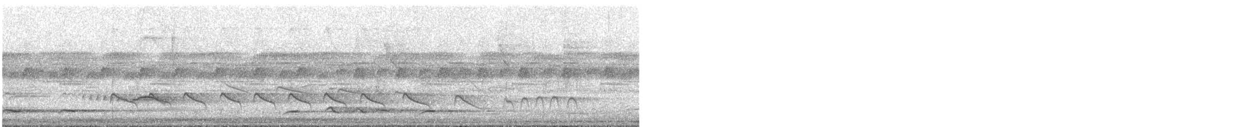 Sibilant Sirystes - ML517784731