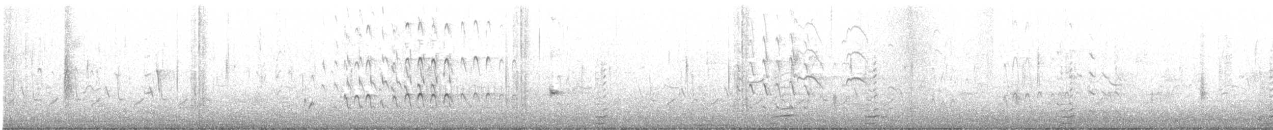 husička černobřichá (ssp. fulgens) - ML517785261