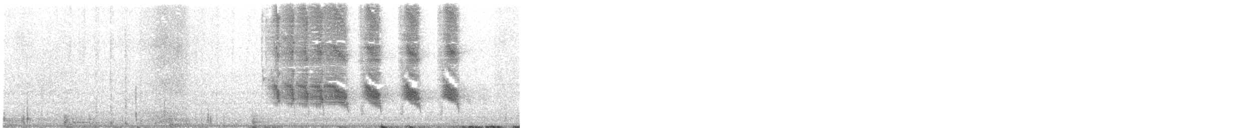 Gallineta Americana (grupo galeata) - ML517786511