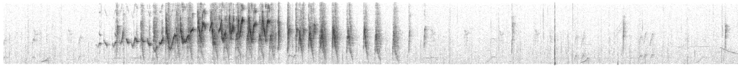 Three-banded Warbler - ML517792721