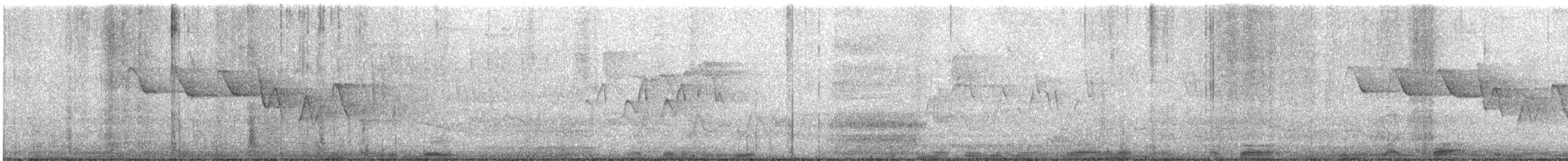 Louisiana Waterthrush - ML517887041